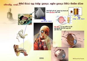 0006_චක්ෂු_සහ_ශෝත_ප්‍රසාද.jpg