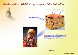 0008_කාය_ප්‍රසාදය.jpg
