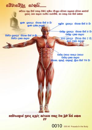 0010_ශරීරයෙහි_සියලු_ප්‍රසාද.jpg
