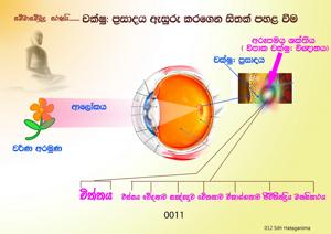 0011_චක්ෂු_ප්‍රසාදය_ඇසුරු_කරගෙන_සිතක්_පහළ_වීම.jpeg