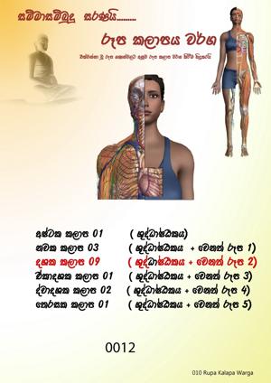 0012_රූප_කලාපය_වර්ග.jpeg