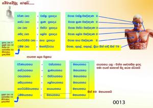 0013_ආයතන_ලෙස_විග්‍රහය.jpeg