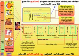 පටිච්චසමුප්පාදය_01.jpg