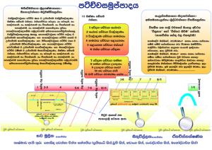 පටිච්චසමුප්පාදය_02.jpg