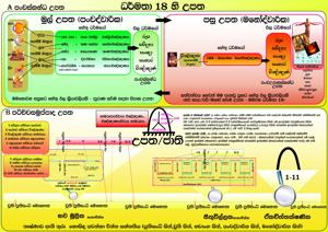 මුල්_උපත_පසු_උපත.jpg